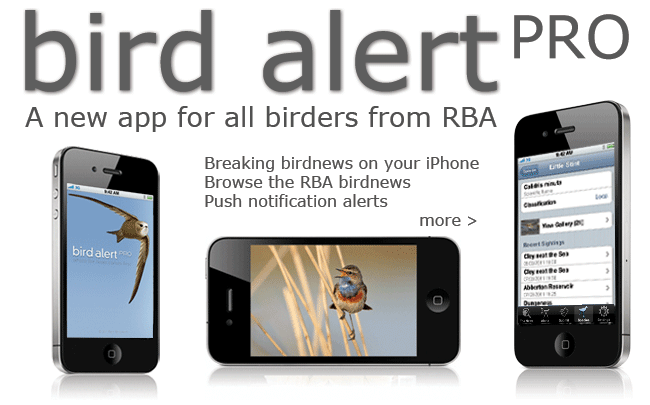 Click for details of bird alert PRO