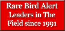 Rare Bird Alert, Leaders in The Field since 1991