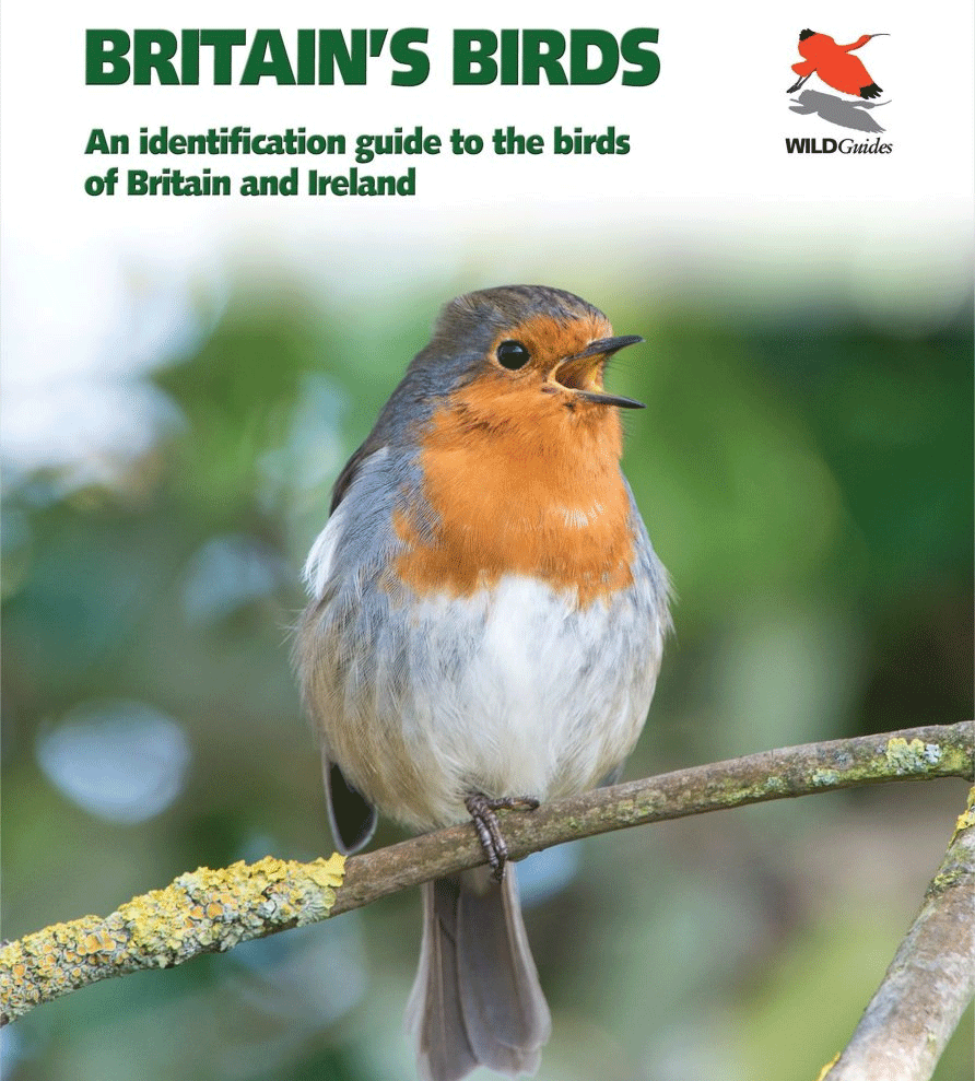 Britain's Birds: The Making of a Field Guide