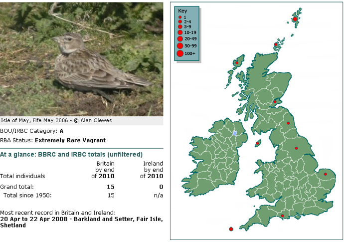 Calandra Lark