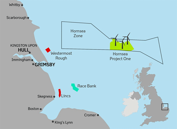 hornsea offshore wind farm decision devastating for iconic seabirds