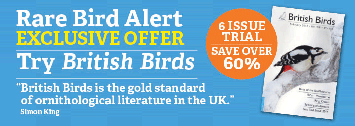 British-Birds-Banner