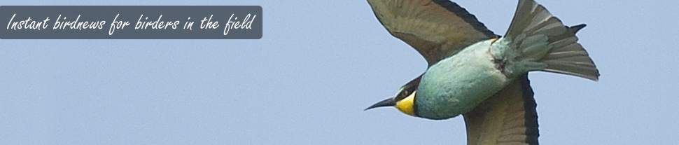 masthead_main