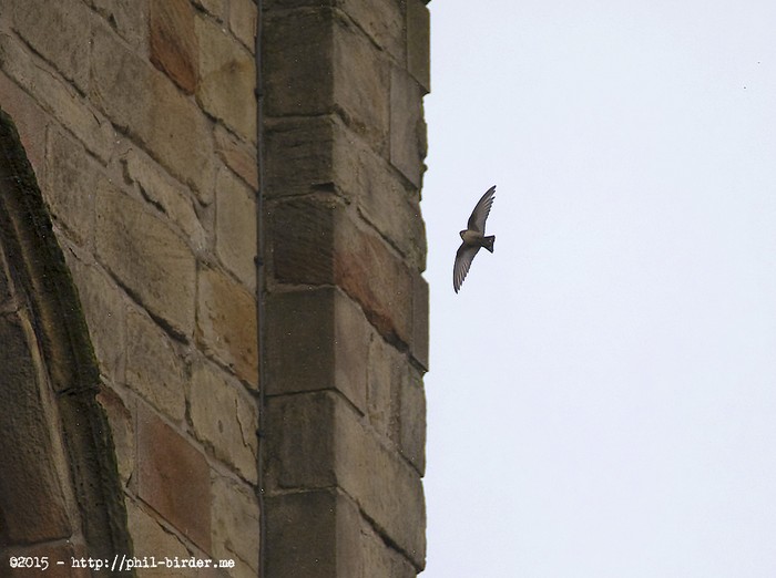 Crag Martin