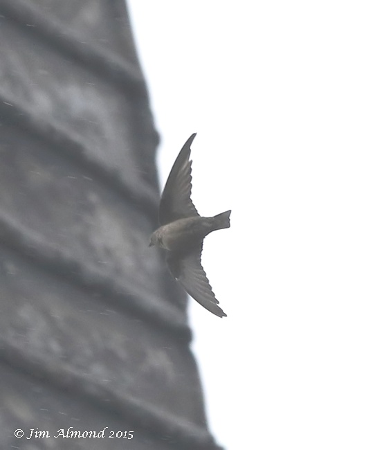 Crag Martin