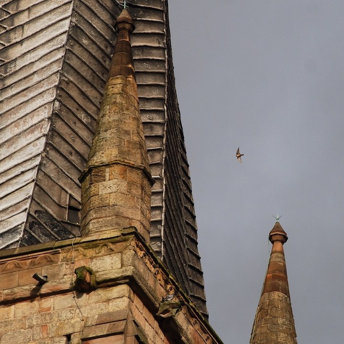Crag Martin