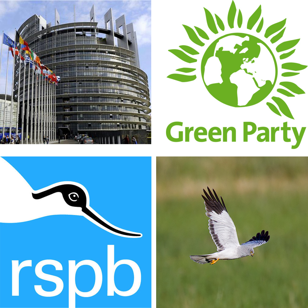 Politics, Hen Harriers and activism episode artwork