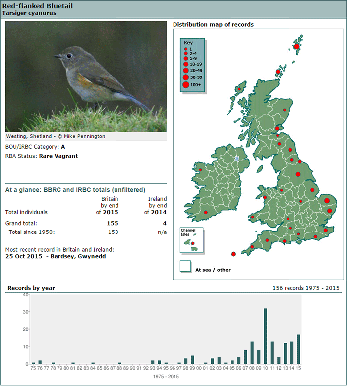 Red-flanked Bluetail  BTO - British Trust for Ornithology