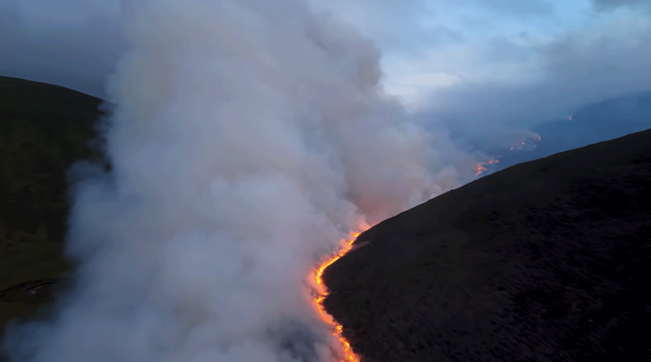 Wildfire burning at RSPB Abernethy in the Cairngorms National Park