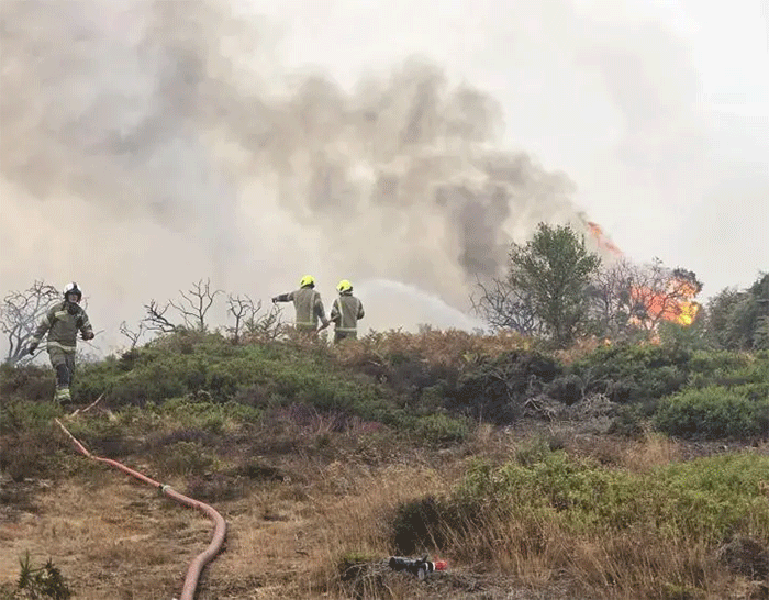 Firefighters tackling the wildfire at Dunwich Heath