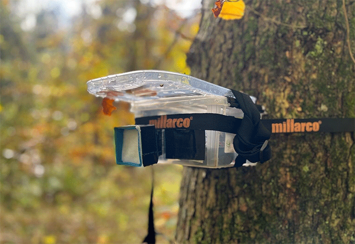 A portable airborne environmental DNA sampler mounted in vegetation