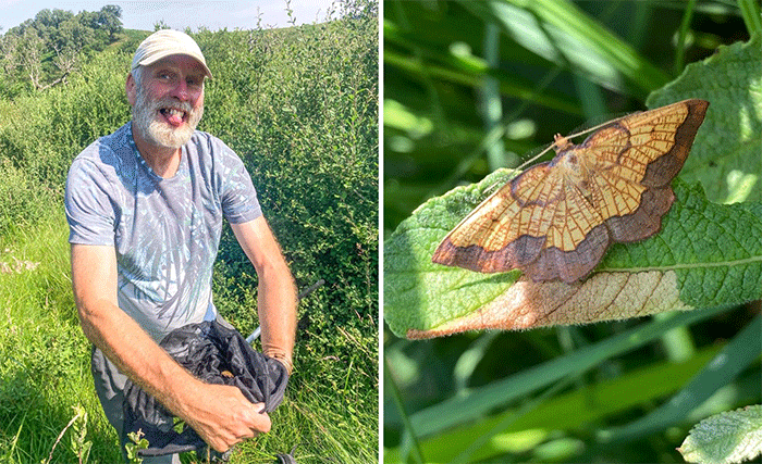  Dave Wainwright and the rediscovered Dark Bordered Beauty at Wallington, Northumberland