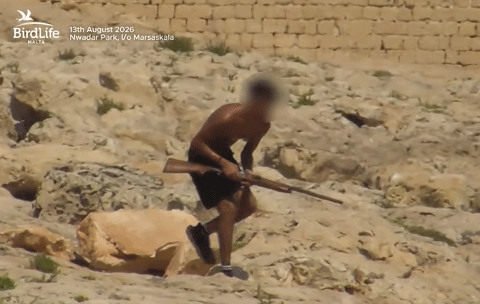 the suspect was filmed moving into position before shooting at the flock of herons