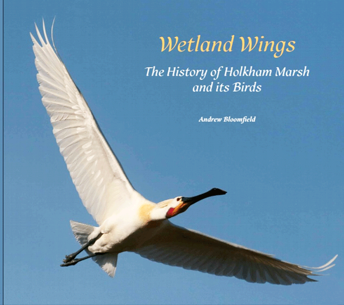 Wetland Wings: The History of Holkham Marsh and Its Birds by Andrew Bloomfield