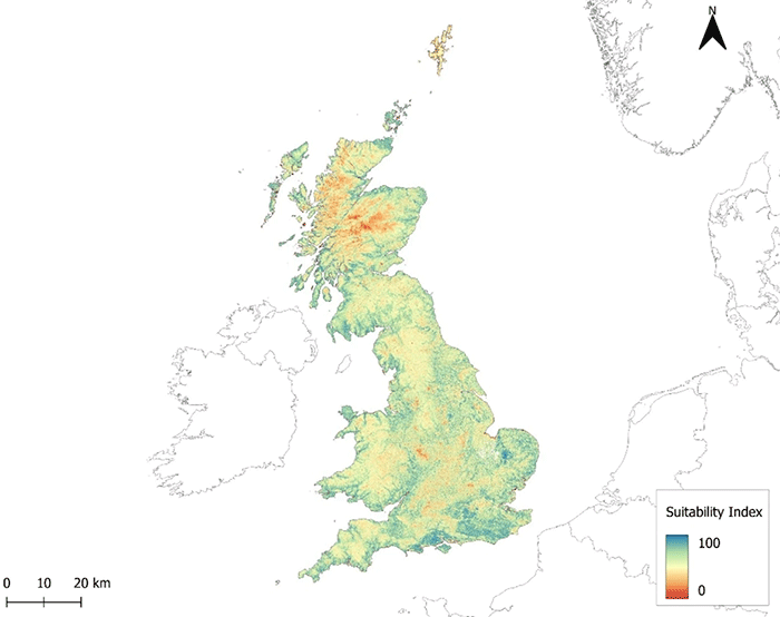 New map identifies potential Pine Marten strongholds across Britain