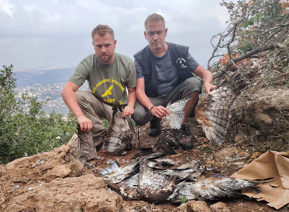 Police move in as raptor shootings continue over Lebanon