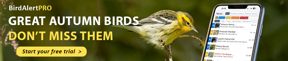 BirdAlertPRO